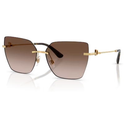 Dolce & Gabbana DG2321 Sunglasses